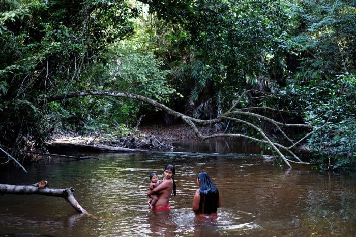 Brazil Amazon Awá