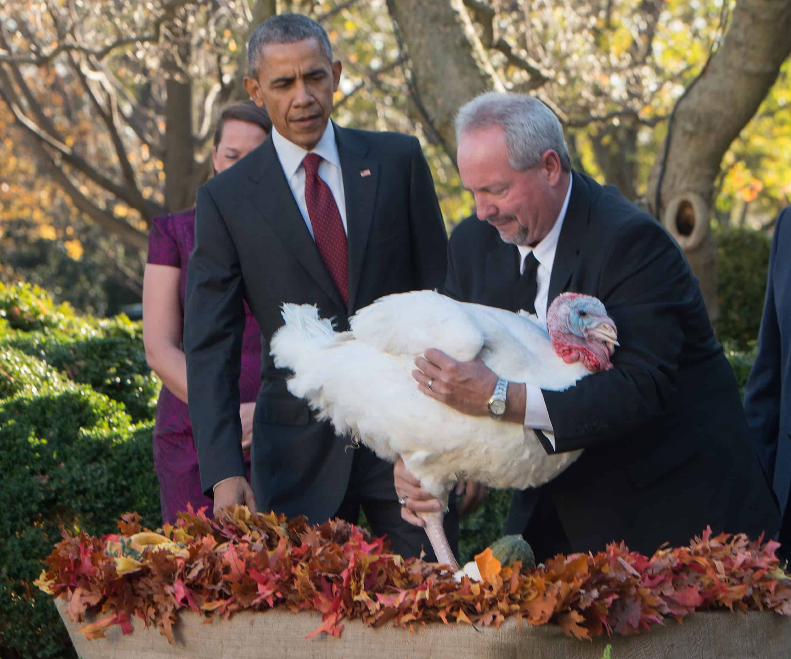 Obama Thanksgiving turkey pardon; terrorist threats