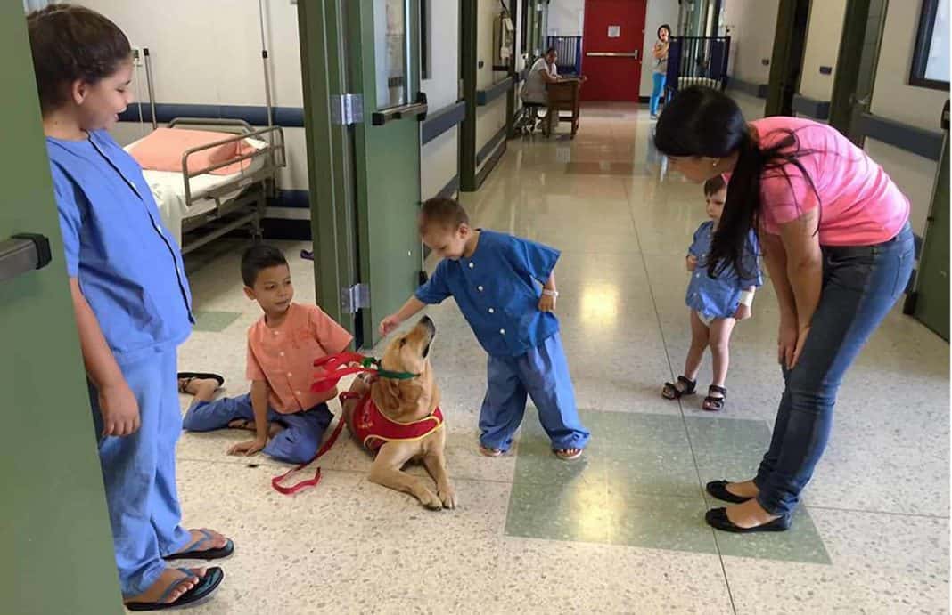 Costa Rica hospital uses dog therapy to treat kids