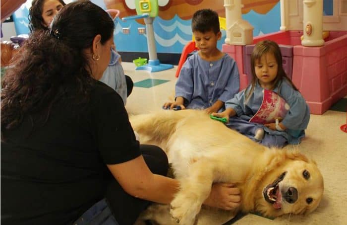 Dog therapy at San Vicente de Paul Hospital