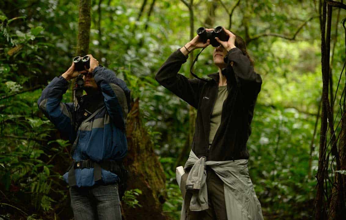 Birders looking through binoculars