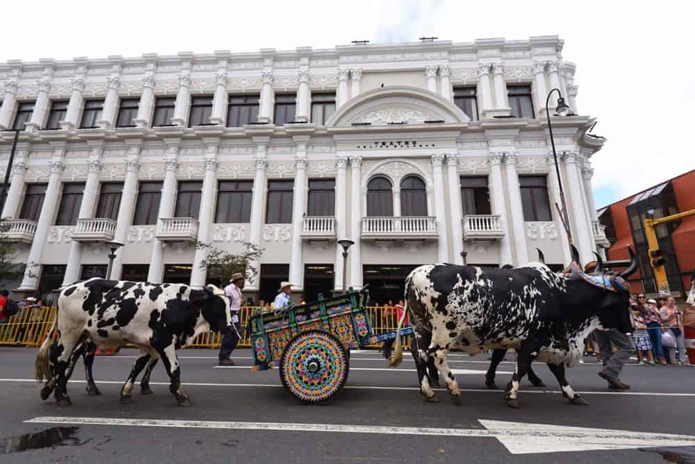 Traditional Costa Rican oxcarts, accompanied by their drivers, make their way from La Sabana Park to the Plaza de la Democracia.