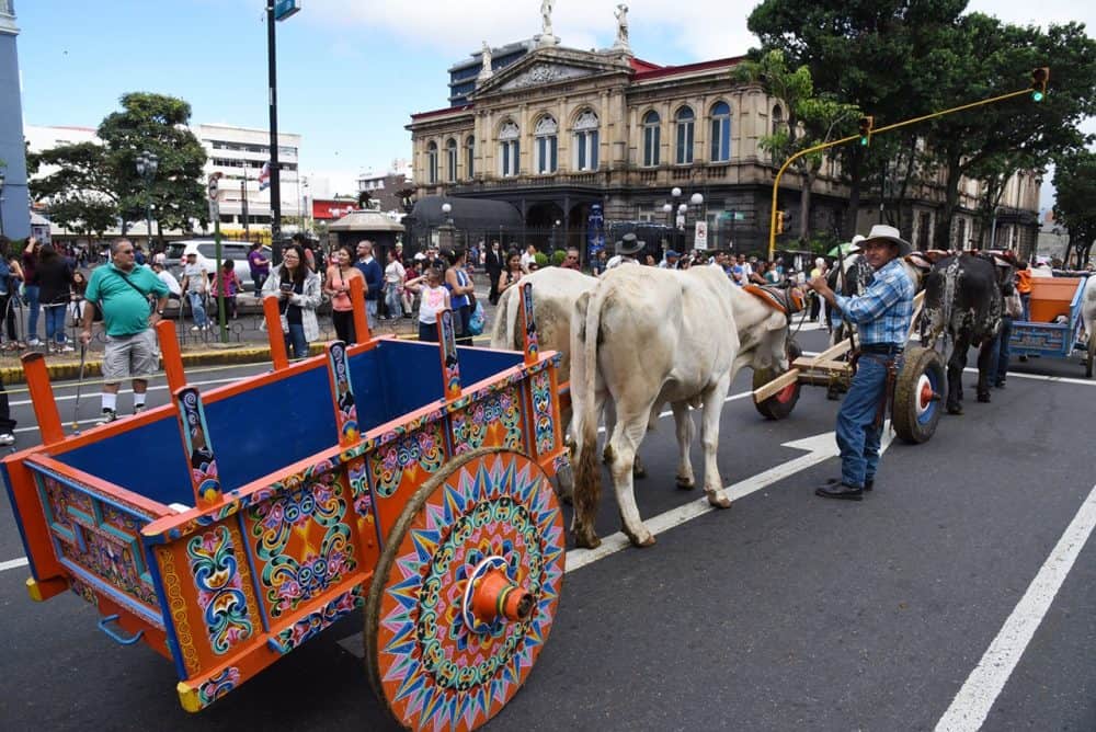 Oxcart parade participants travel through downtown San José with traditional Costa Rican oxcarts