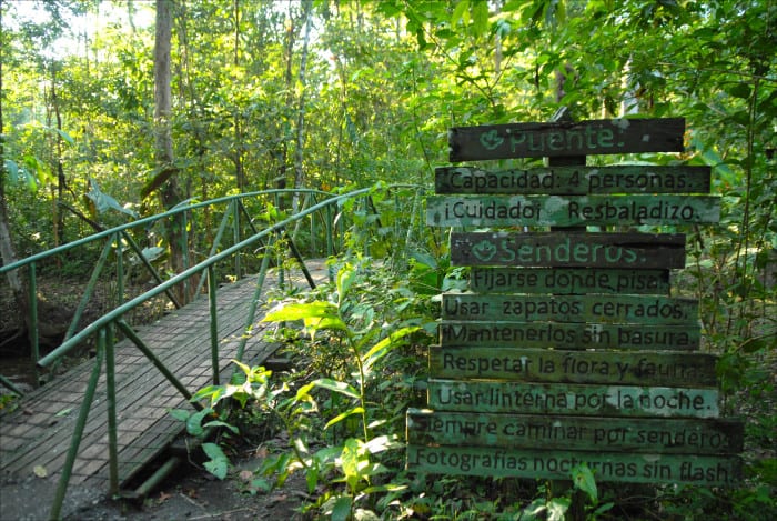 Danta Corcovado rain forest lodge lures ecotourists to Costa Rica’s Osa Peninsula