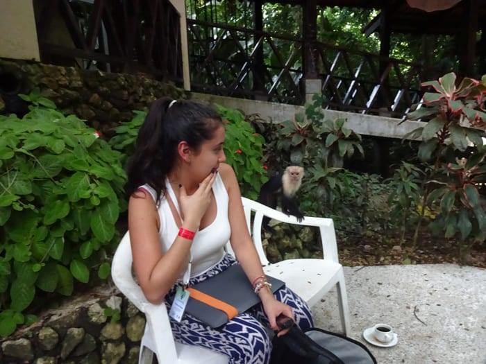 Oh, my. A monkey gets up close with a journalist.