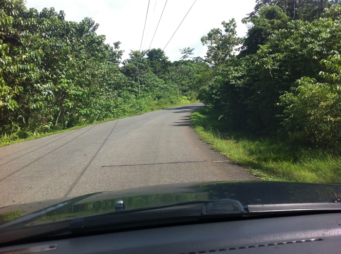 Road from Chacarita to Puerto Jiménez.