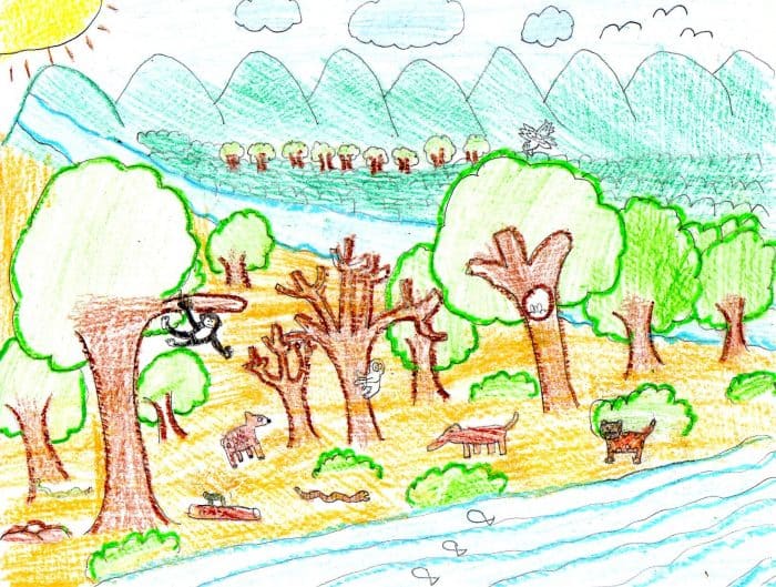 Child's drawing of a tropical dry forest
