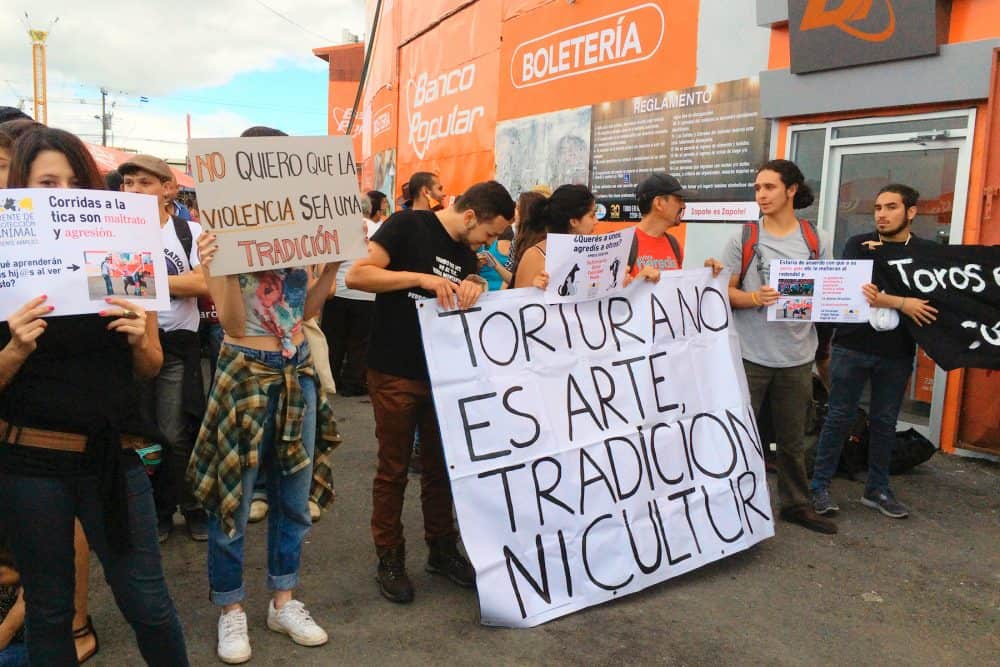 Demonstration against Tico-style bullfights. Dec. 25 2015