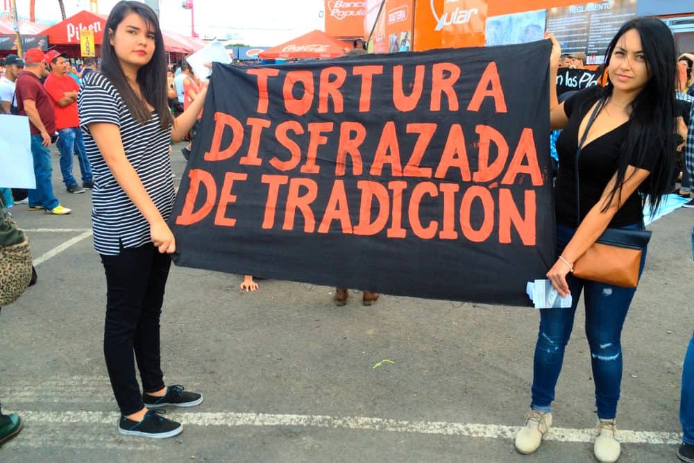 Demonstration against Tico-style bullfights. Dec. 25 2015