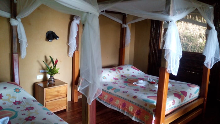 The beds in our bungalow.