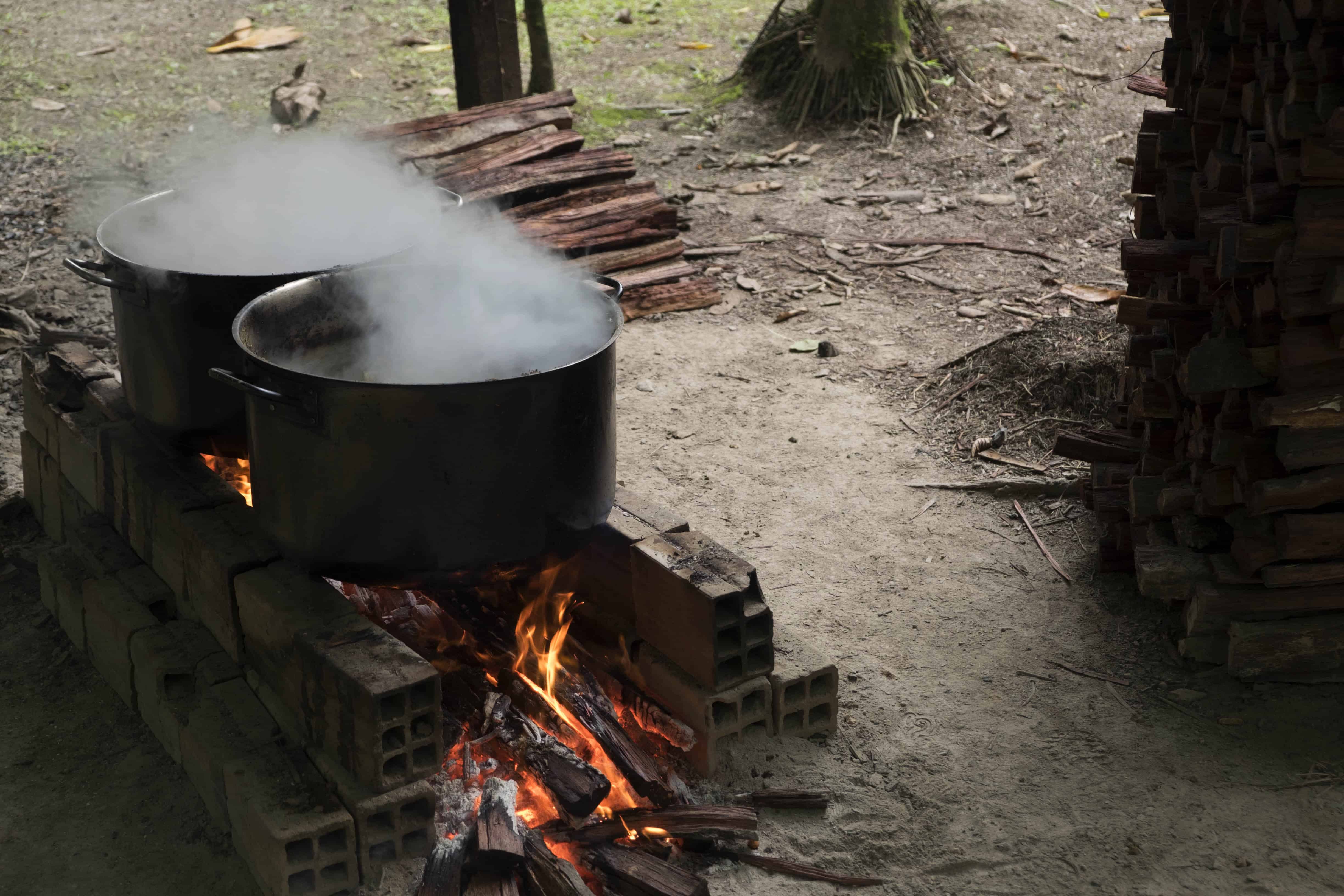 Cooking the ayahuasca brew