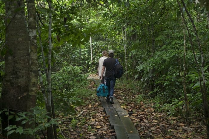 Ayahuasca retreat, Iquitos, Peru.