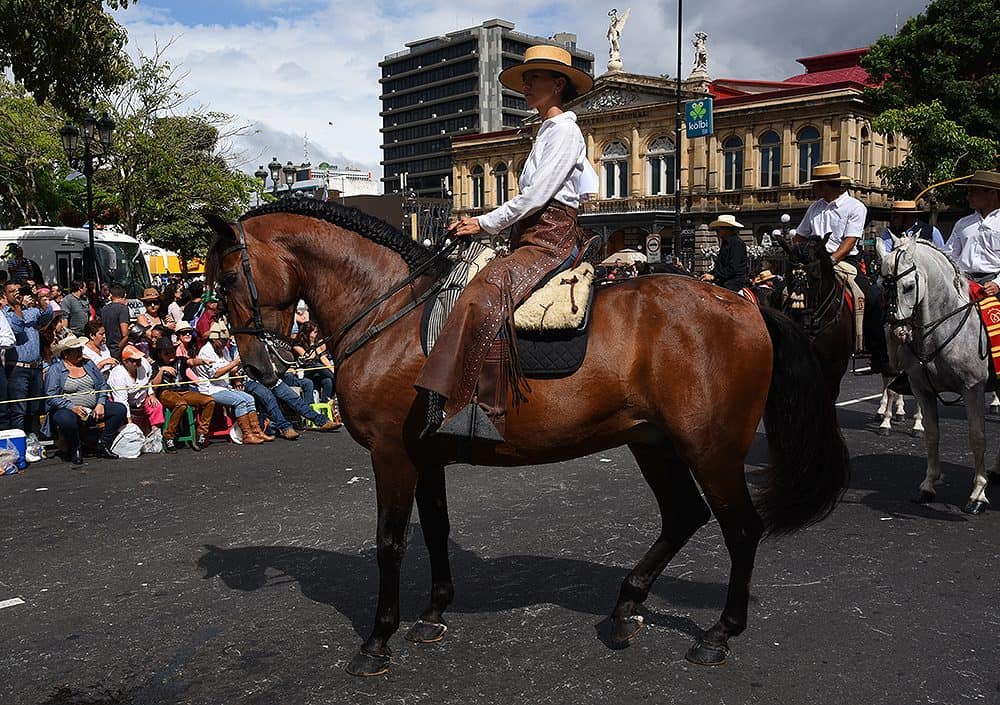 Horse rider displaying ornate saddle at Costa Rica's holiday tope parade.