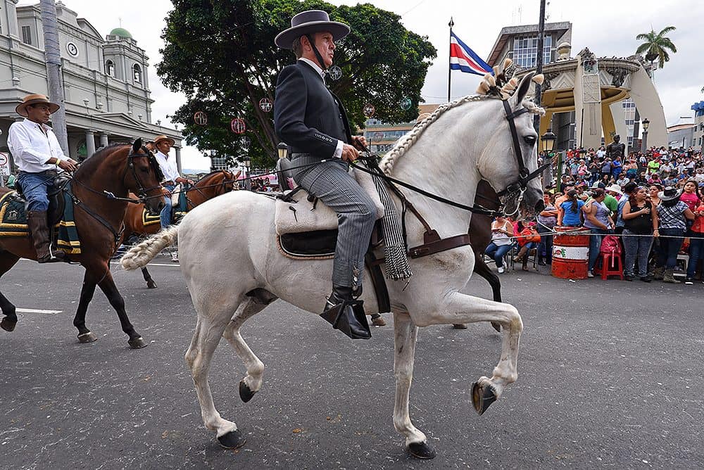 Equestrians showing off decorative saddles and riding gear at Costa Rica's tope parade.