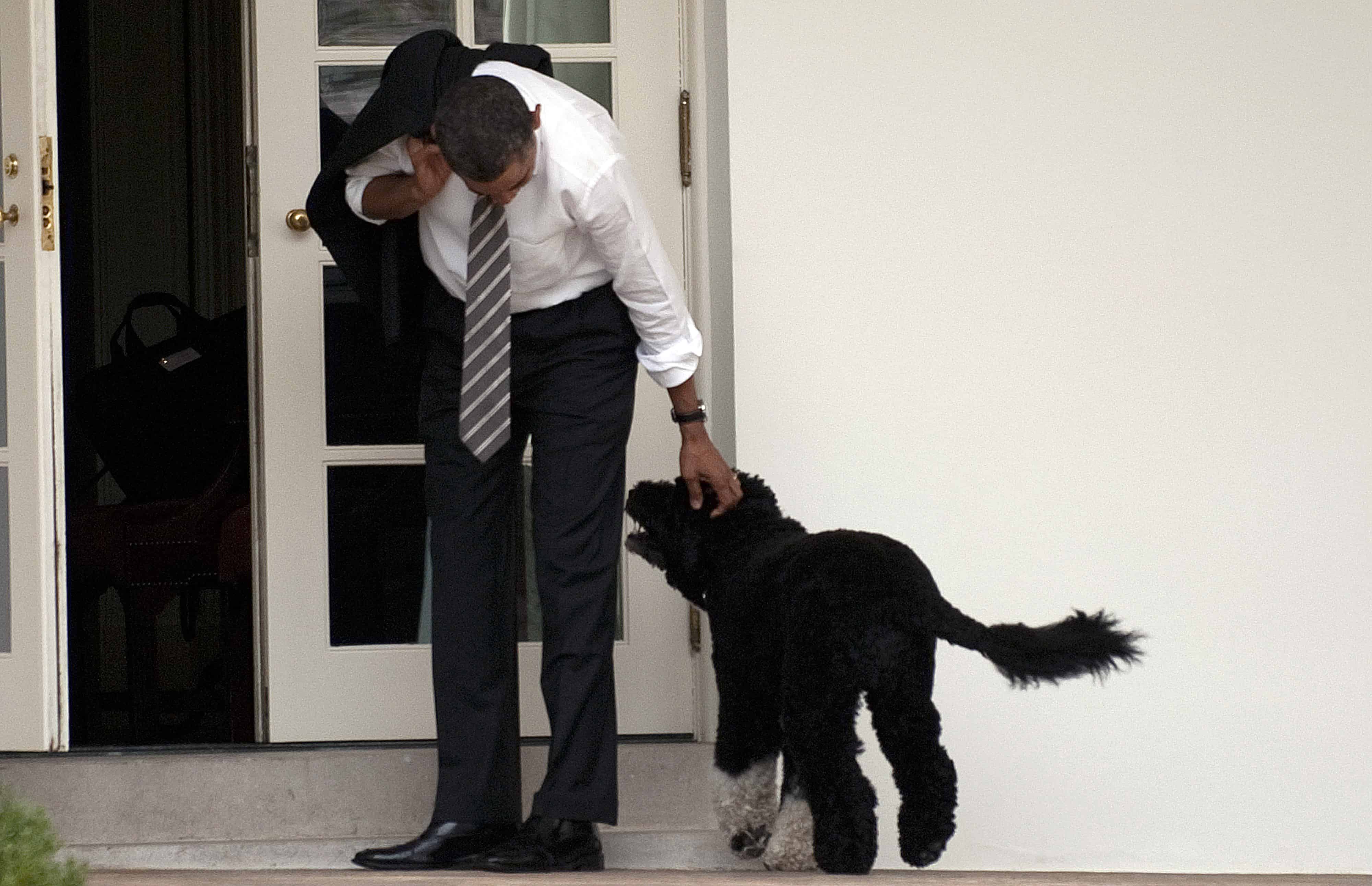 U.S. President Barack Obama and his family dog Bo