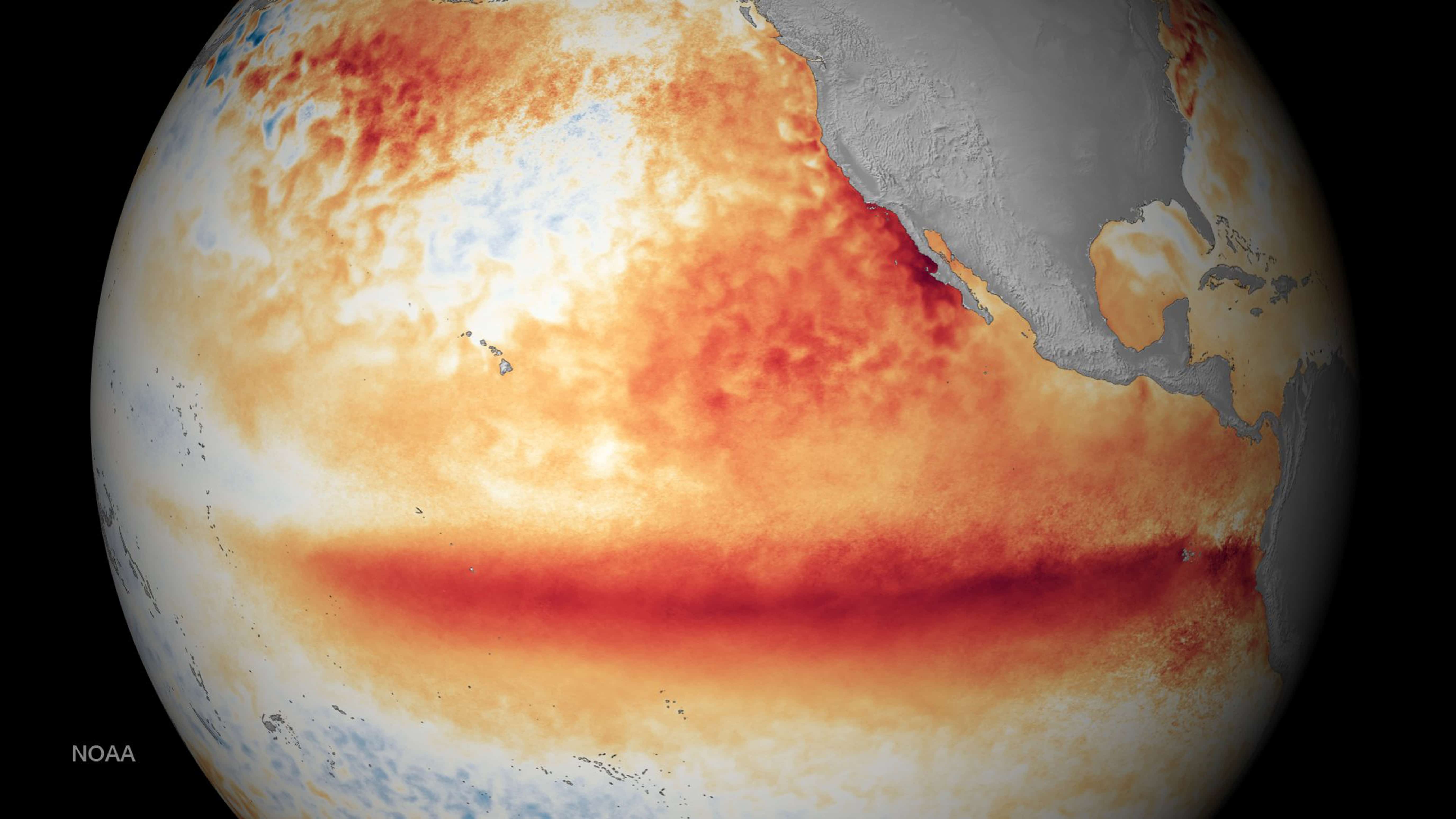 global temperature trends: NOAA sea surface temp photo