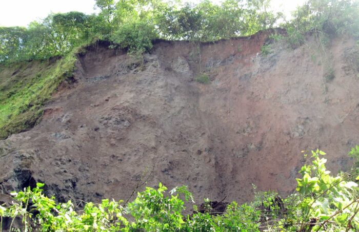 Debris over Chiquito river, 2011
