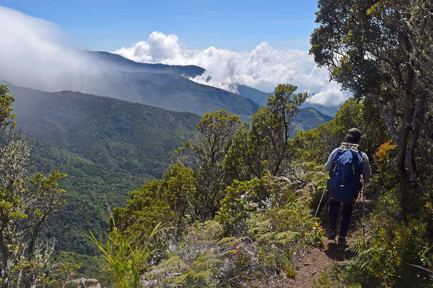 Costa Rica's Talamanca Mountains