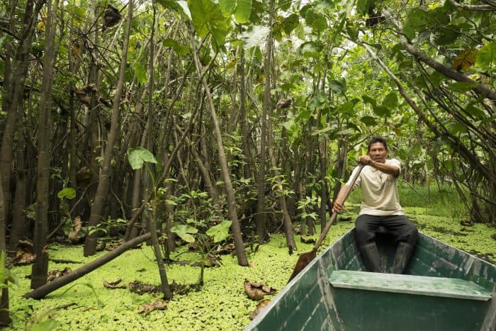 Amazon: In the swamps with Don Julio.