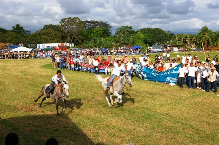 (Courtesy of Festival Nacional de las Mulas)