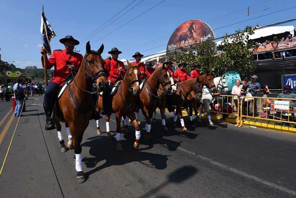 Horse Show at Palmares Tope Costa Rica