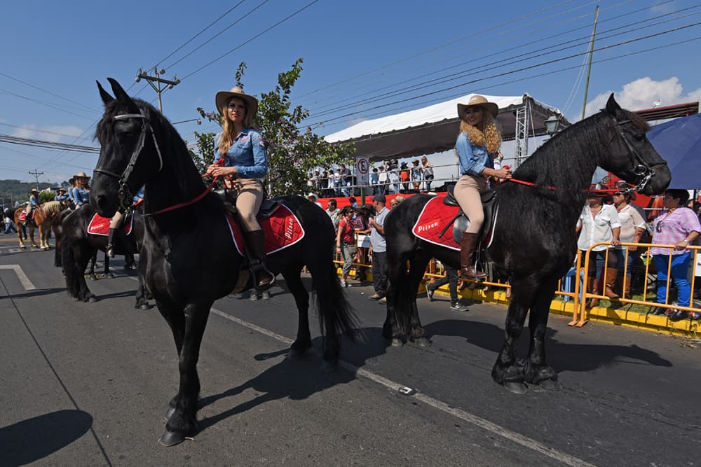 Horse Show at the Palmares Tope Costa Rica