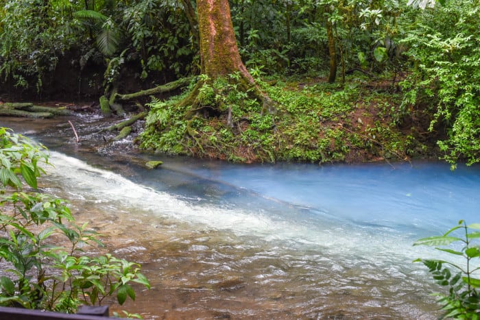 Los Teñideros, where Río Buena Vista and Quebrada Agria meet to form Río Celeste.