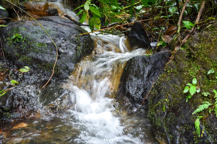 A creek in Costa Rica's Tenorio Volcano National Park.