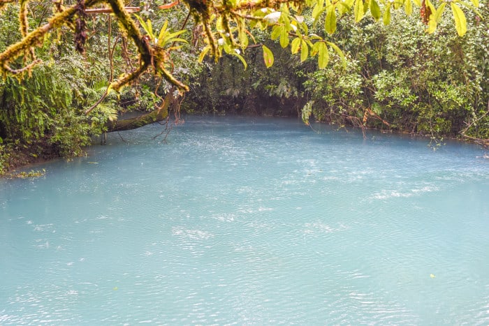 Río Celeste in Tenorio Volcano National Park "Blue Lagoon" lives up to its name.