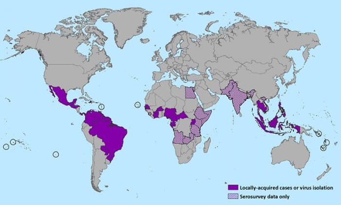 Zika virus map