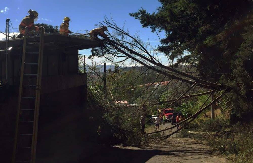 Strong winds. Feb. 10, 2016.