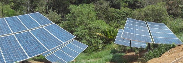 Growing Green: How Permaculture Thrives in Costa Rica
