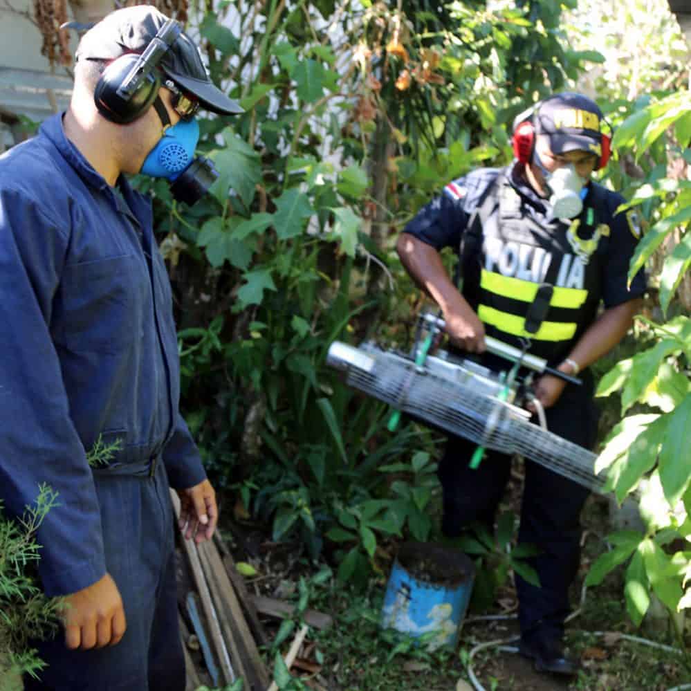 Dengue, chikungunya cases in Costa Rica up by over 600 percent The