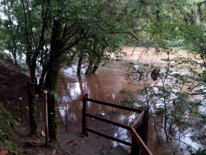 The Río Puerto Viejo, swollen by recent rains.