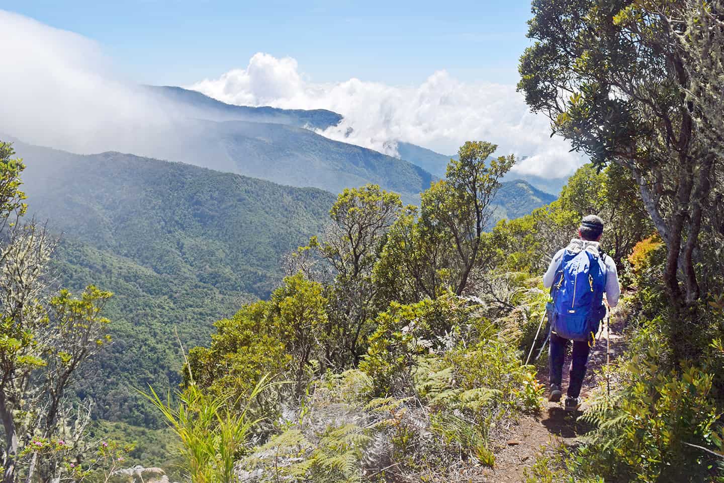 Hiking the trails at Costa Rica's Chirripó National Park 