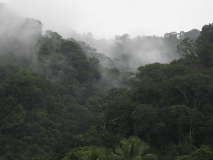 Piedras Blancas National Park Costa Rica