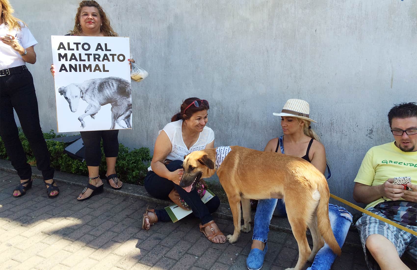 Costa Rica to set prison sentences for animal cruelty