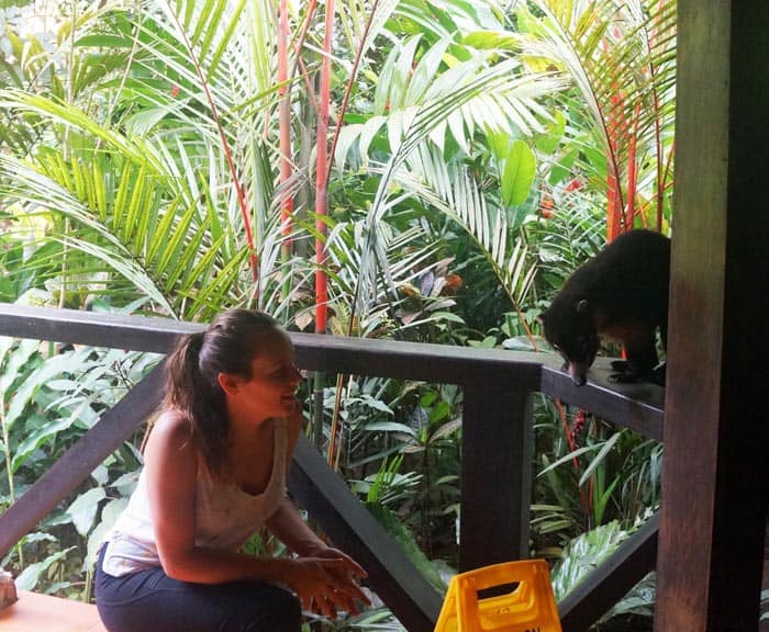 The author gets up-close with a coati.
