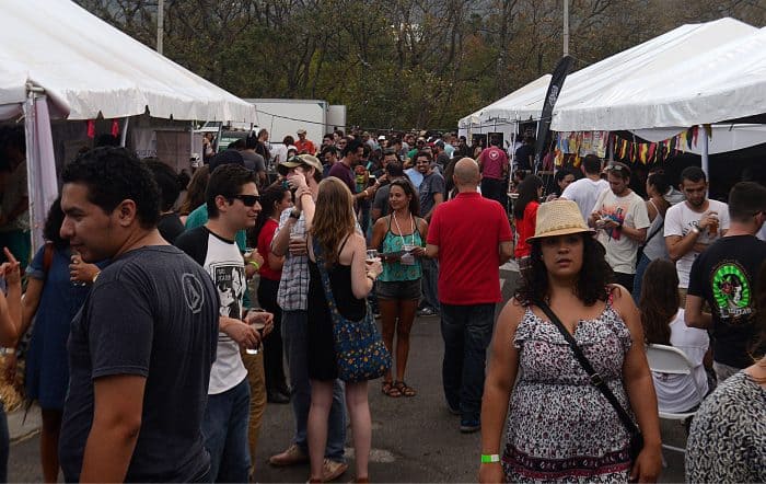 crowd at craft beer festival