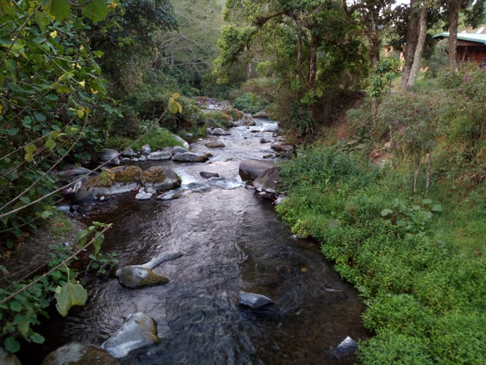 The Savegre River, eager to receive rafters a little farther downstream.