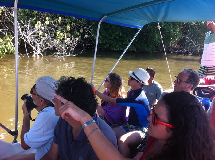On a boat from Sierpe to Isla del Caño, guests are delighted to spot a large troop of rare squirrel monkeys.
