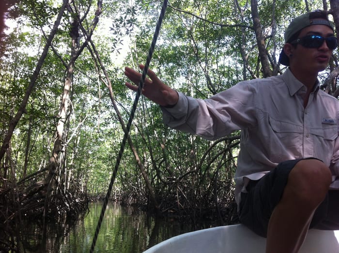 Boa Gamboa explains mangroves.