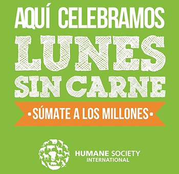 Meatless Monday / Lunes sin Carne