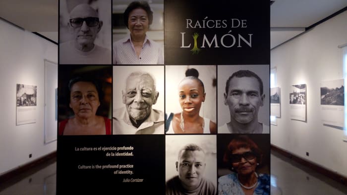 "Roots of Limón" exhibit.