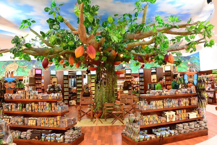 The interior of the main Britt Shop at the Costa Rican airport, with chocolate tree.