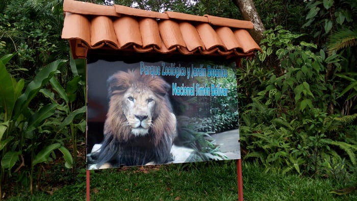 A sign at the entrance to the zoo features its most exotic inhabitant, Kivu the lion.