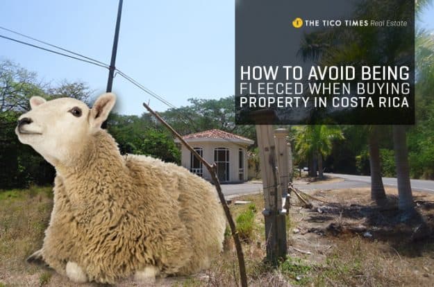 Costa Rican Sheep How to avoid being fleeced when buying property in Costa Rica