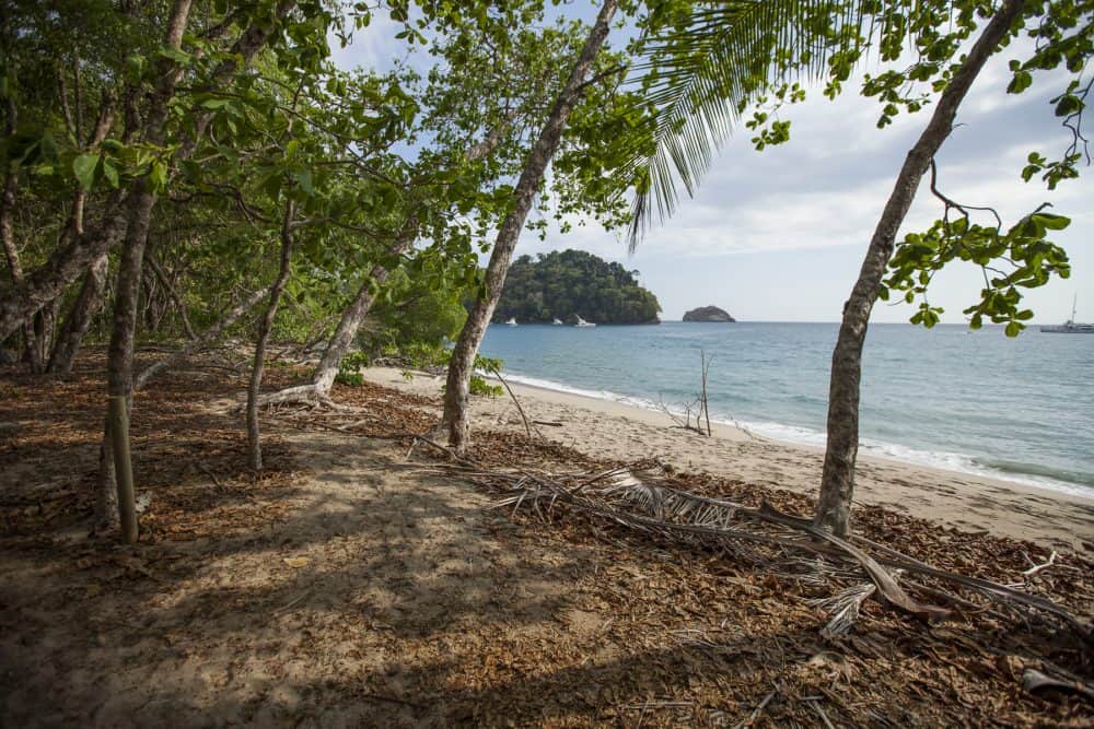 Manuel Antonio National Park Costa Rica