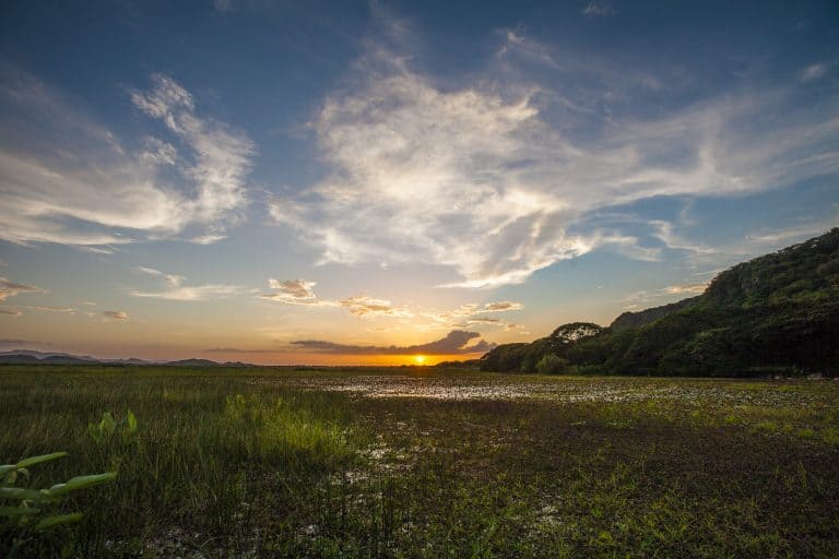 Costa Rica’s Northern Wetlands Vanishing