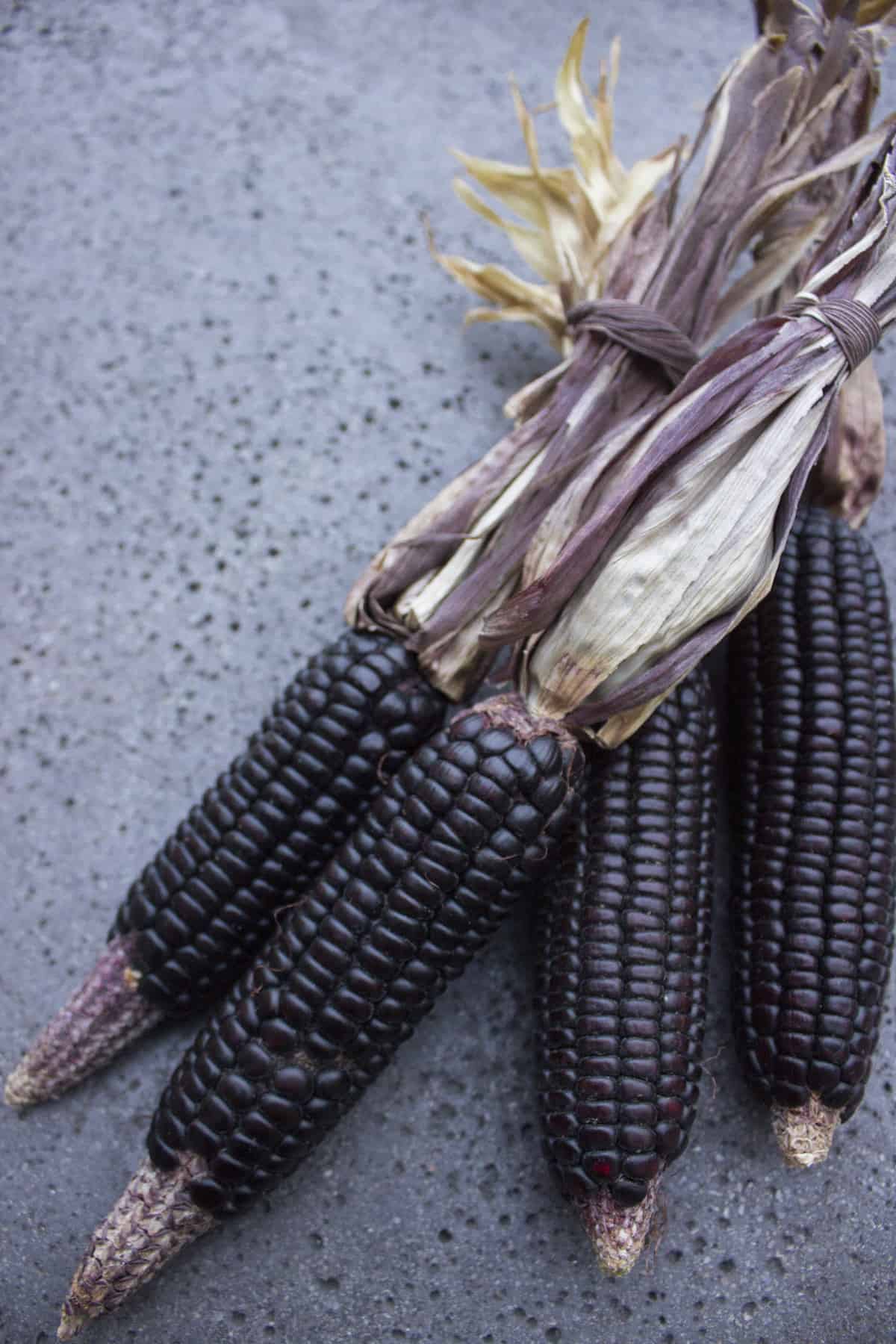 blue corn